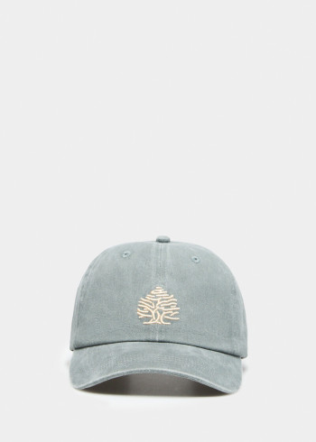 КАПА 