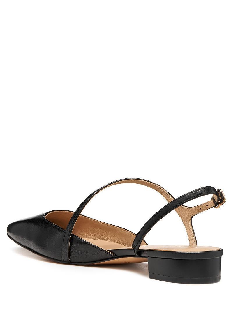 БАЛЕТАНКИ 