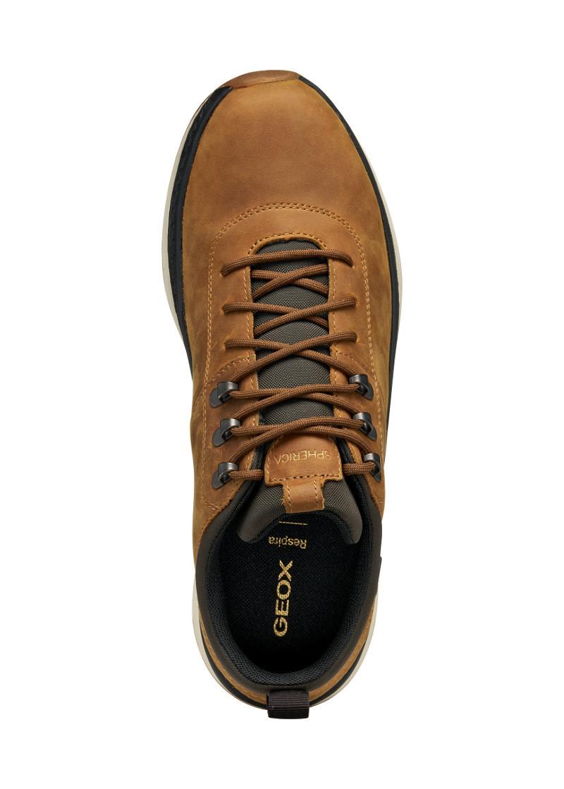 ПАТИКИ 